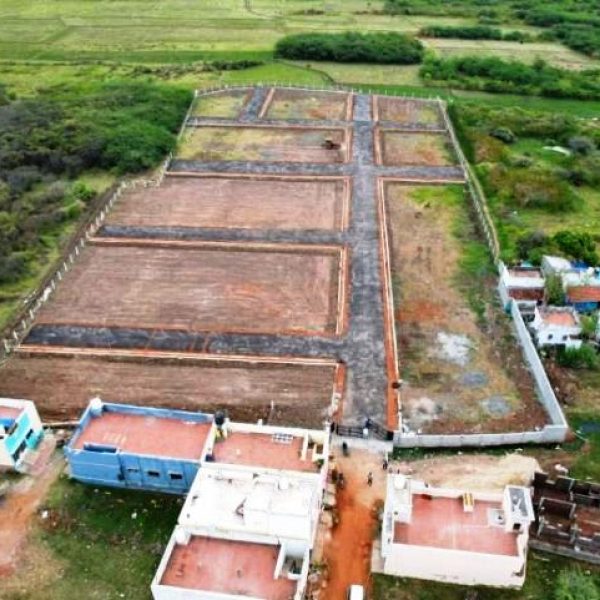 WhatsApp Image 2026-02-24 at 5.42.07 PM (1)