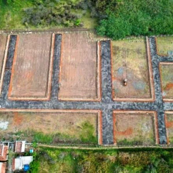 WhatsApp Image 2026-02-24 at 5.42.07 PM