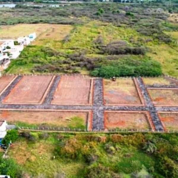 WhatsApp Image 2026-02-24 at 5.42.08 PM