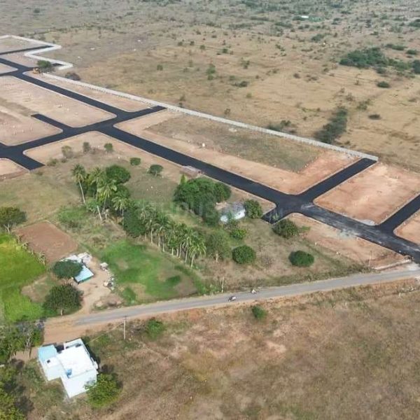 WhatsApp Image 2026-02-24 at 5.53.41 PM