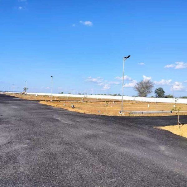 WhatsApp Image 2026-02-24 at 5.53.42 PM (1)