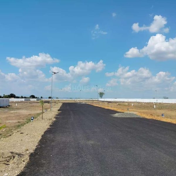 WhatsApp Image 2026-02-24 at 5.53.42 PM (2)