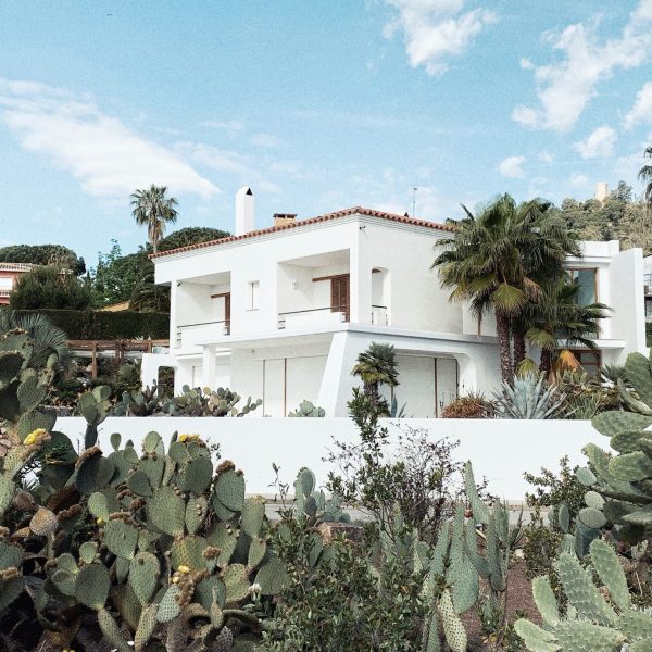 zac-cain-4ETshgrhbJw-unsplash